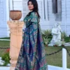 All Over Swarnachari Saree with Blue color