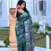 All Over Swarnachari Saree with blue color 3