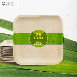 usra-eco-friendly-square-plate-12-inch